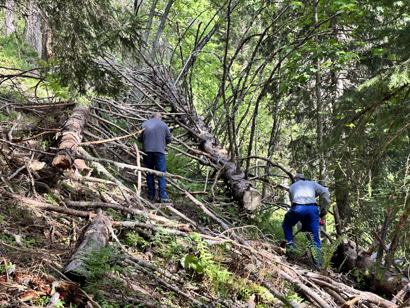Les chemins de Cordon